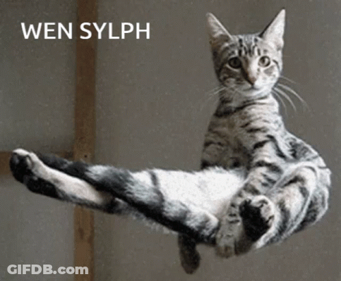 A Cat Is Laying On Its Back With The Caption Wen Sylph GIF