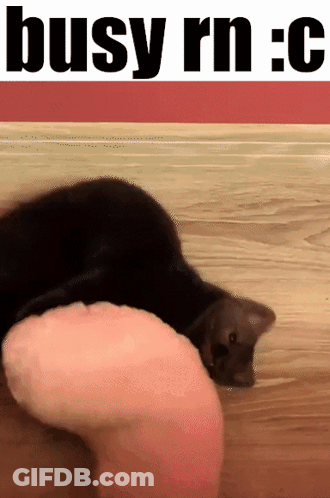 A Cat Is Laying On The Floor Next To A Person 'S Leg With The Words Busy Rn : C Above It GIF