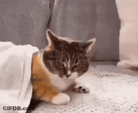 A Cat Is Laying On The Floor Under A Blanket . GIF
