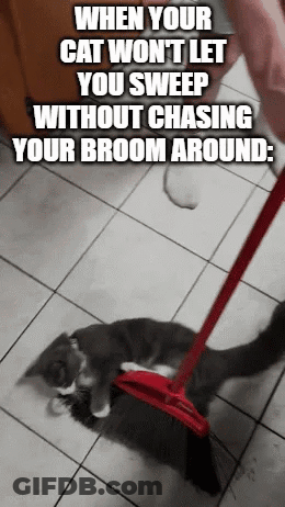 A Cat Is Laying On The Floor With A Broom In Its Paws . GIF