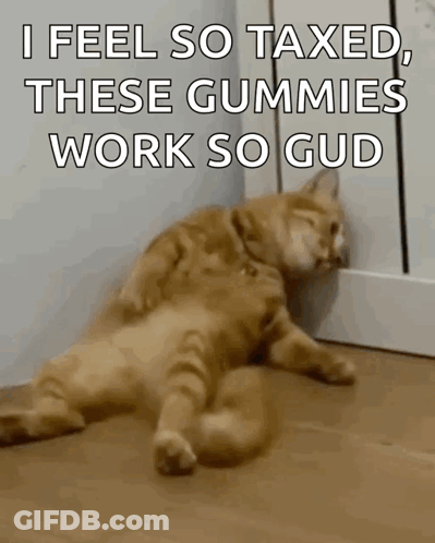 A Cat Is Laying On The Floor With A Caption That Reads `` I Feel So Taxed , These Gummies Work So Gud '' GIF
