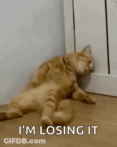 A Cat Is Laying On The Floor With The Words `` I 'M Losing It '' Written On The Bottom . GIF