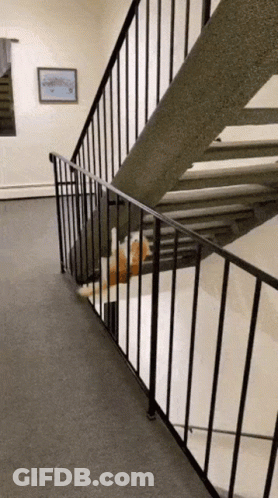 A Cat Is Laying On The Stairs Next To A Metal Railing . GIF