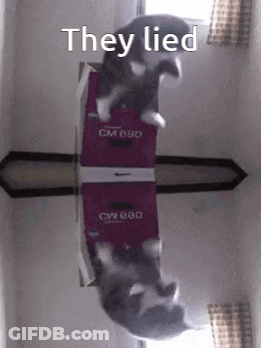 A Cat Is Laying On Top Of A Box That Says They Lied GIF