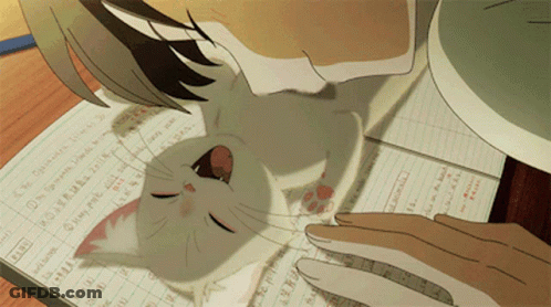 A Cat Is Laying On Top Of A Notebook That Says ' The Customer ' GIF