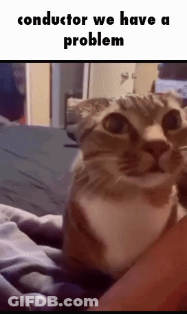 A Cat Is Laying On Top Of A Person 'S Lap And Looking At The Camera . GIF