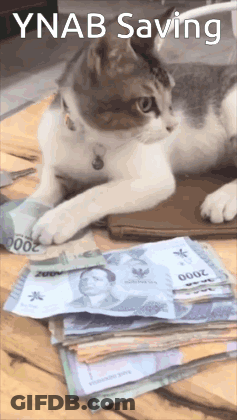 A Cat Is Laying On Top Of A Stack Of Money With The Words Ynab Saving Above It GIF