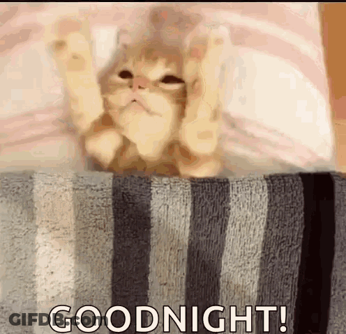 A Cat Is Laying On Top Of A Striped Blanket With Its Paws Up . GIF