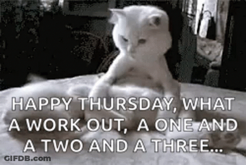 A Cat Is Laying On Top Of Another Cat On A Bed With A Quote . GIF