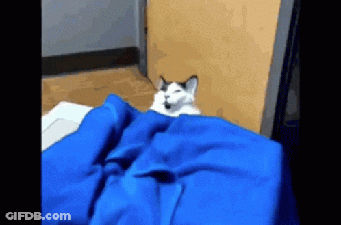 A Cat Is Laying Under A Blue Blanket On A Bed GIF