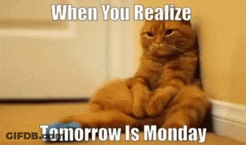 A Cat Is Leaning Against A Wall With A Caption That Says When You Realize Tomorrow Is Monday GIF