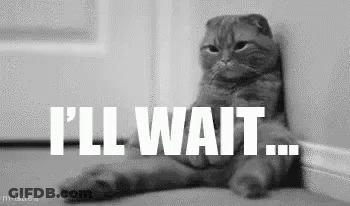 A Cat Is Leaning Against A Wall With The Words `` I 'Ll Wait '' Written Above It . GIF
