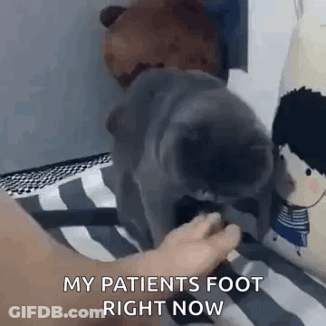 A Cat Is Licking A Person 'S Foot While Sitting On A Bed . GIF