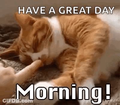 A Cat Is Licking Another Cat 'S Paw With The Words `` Have A Great Day Morning '' . GIF