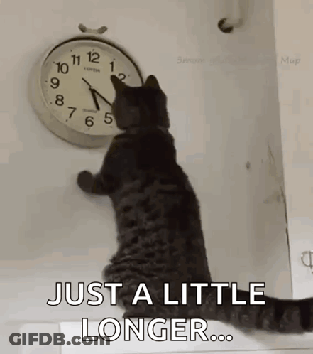 A Cat Is Looking At A Clock On A Wall And Says `` Just A Little Longer '' . GIF