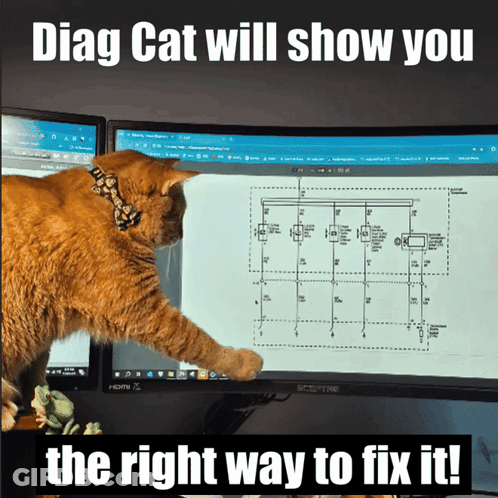 A Cat Is Looking At A Diagram On A Computer Screen With The Caption Diag Cat Will Show You The Right Way To Fix It GIF