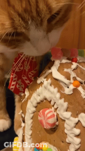 A Cat Is Looking At A Gingerbread House That Has Candy On It GIF