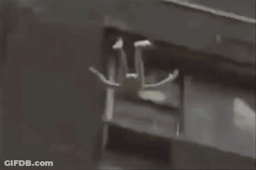 A Cat Is Looking At A Graph With A Green Arrow Pointing Up . GIF