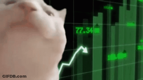 A Cat Is Looking At A Graph With An Arrow Pointing Up . GIF