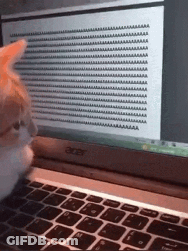 A Cat Is Looking At A Laptop Computer Screen With A Lot Of Text On It . GIF
