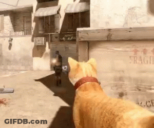 A Cat Is Looking At A Man In A Video Game GIF