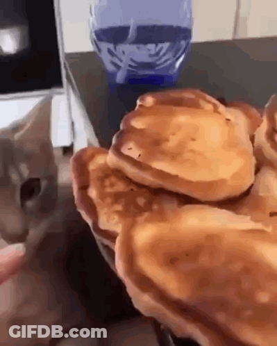 A Cat Is Looking At A Pile Of Pancakes On A Table . GIF