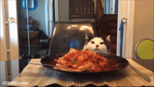 A Cat Is Looking At A Plate Of Pasta With A Fork GIF