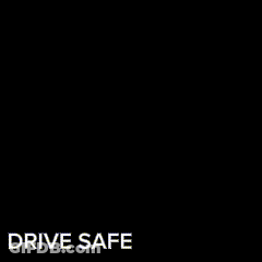 A Cat Is Looking At A Steering Wheel With The Words Drive Safe Written Below It GIF