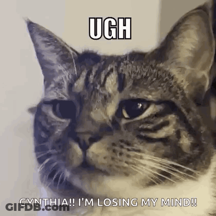 A Cat Is Looking At The Camera With A Caption That Says `` Cynthia ! I 'M Losing My Mind '' . GIF