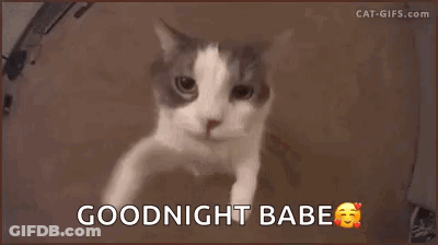 A Cat Is Looking At The Camera With The Words `` Goodnight Babe '' Written Below It . GIF