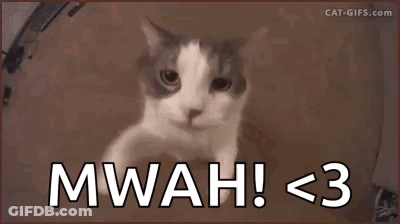 A Cat Is Looking At The Camera With The Words Mwah < 3 Below It GIF