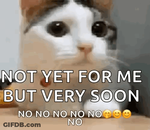 A Cat Is Looking At The Camera With The Words `` Not Yet For Me But Very Soon No No No No No No '' Written On It . GIF