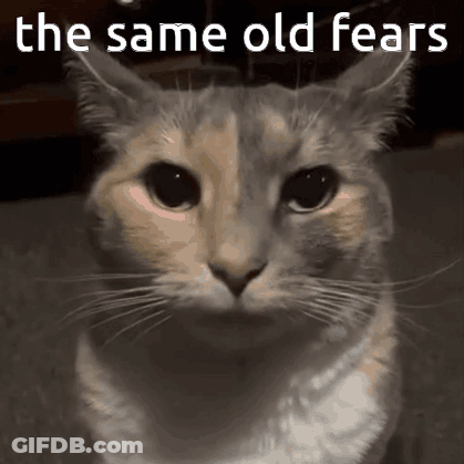 A Cat Is Looking At The Camera With The Words `` The Same Old Fears '' Written Above It . GIF