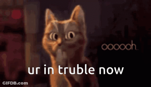 A Cat Is Looking At The Camera With The Words Ur In Trouble Now Written Below It GIF
