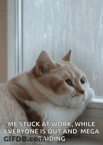 A Cat Is Looking Out Of A Window With A Caption That Says Me Stuck At Work While Everyone Is Out And Mega Raiding GIF