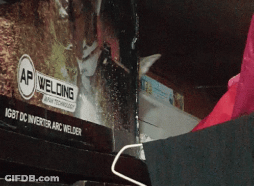 A Cat Is Looking Out Of A Window With A Sign That Says Ap Welding GIF