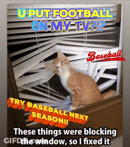 A Cat Is Looking Out Of A Window With The Words " U Put Football On My Tv ? " GIF