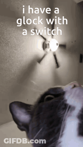 A Cat Is Looking Up At A Clock With The Words I Have A Glock With A Switch Above It GIF