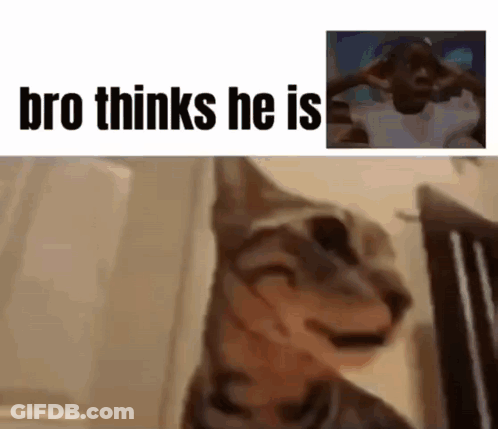 A Cat Is Making A Funny Face Next To A Picture Of A Man With His Hands On His Head . GIF