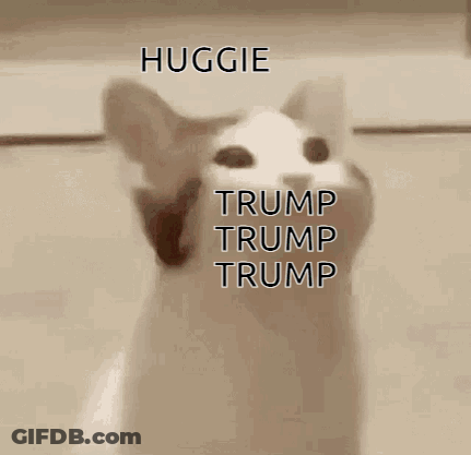 A Cat Is Making A Funny Face With Its Mouth Open And Says Trump Trump Trump . GIF