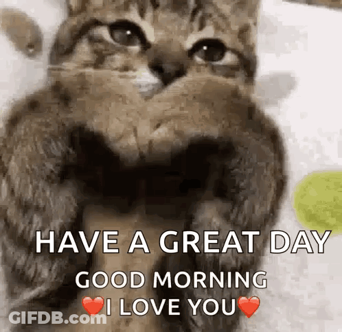 A Cat Is Making A Heart Shape With Its Paws And Saying `` Have A Great Day Good Morning I Love You '' . GIF