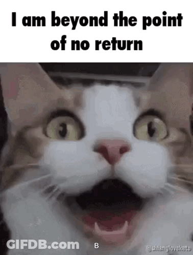 A Cat Is Making A Surprised Face With Its Mouth Open . GIF