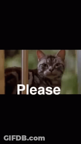 A Cat Is Peeking Out From Behind A Door With The Word Please Written On It . GIF