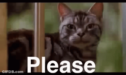 A Cat Is Peeking Out From Behind A Door With The Word Please Written On The Bottom . GIF