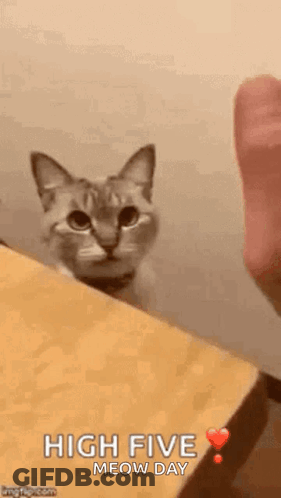 A Cat Is Peeking Out From Behind A Table And Says `` High Five Meow Day '' . GIF