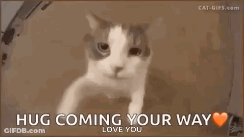 A Cat Is Peeking Out Of A Box With The Words `` Hug Coming Your Way Love You '' Written On It . GIF