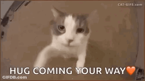 A Cat Is Peeking Out Of A Box With The Words `` Hug Coming Your Way '' Written On It . GIF