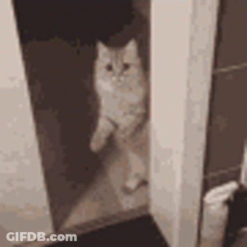 A Cat Is Peeking Out Of A Doorway . GIF