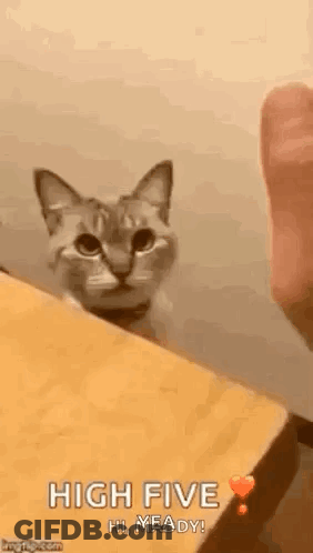 A Cat Is Peeking Over A Wooden Table And Looking At A Person . GIF