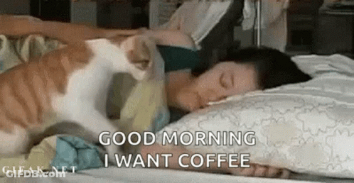 A Cat Is Petting A Woman 'S Head While She Is Sleeping On A Bed . GIF